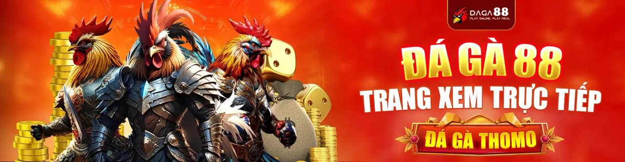 Hình ảnh Đá Gà trực tuyến tại goo88 chính thức với trận đấu kịch tính và người chơi